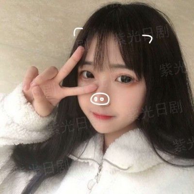 冷面总裁与俏丽女总监