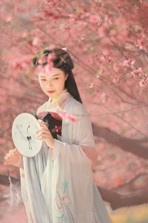 星际之最强女战神
