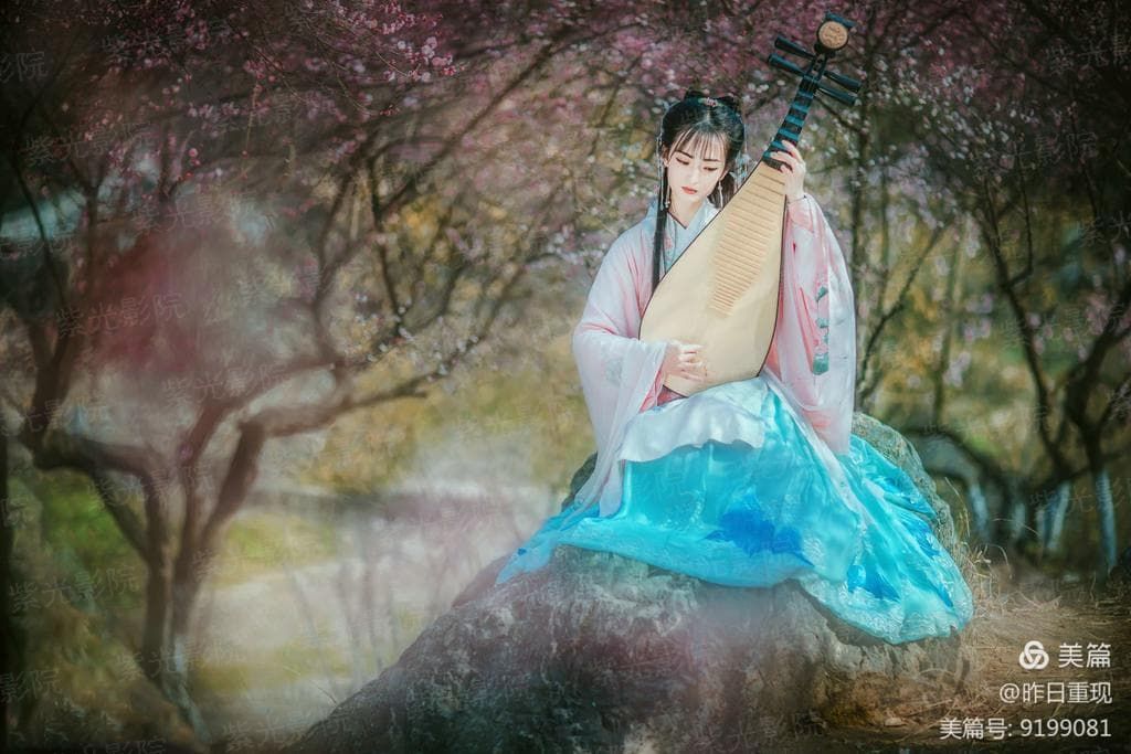 热搜女星也追星[娱乐圈]