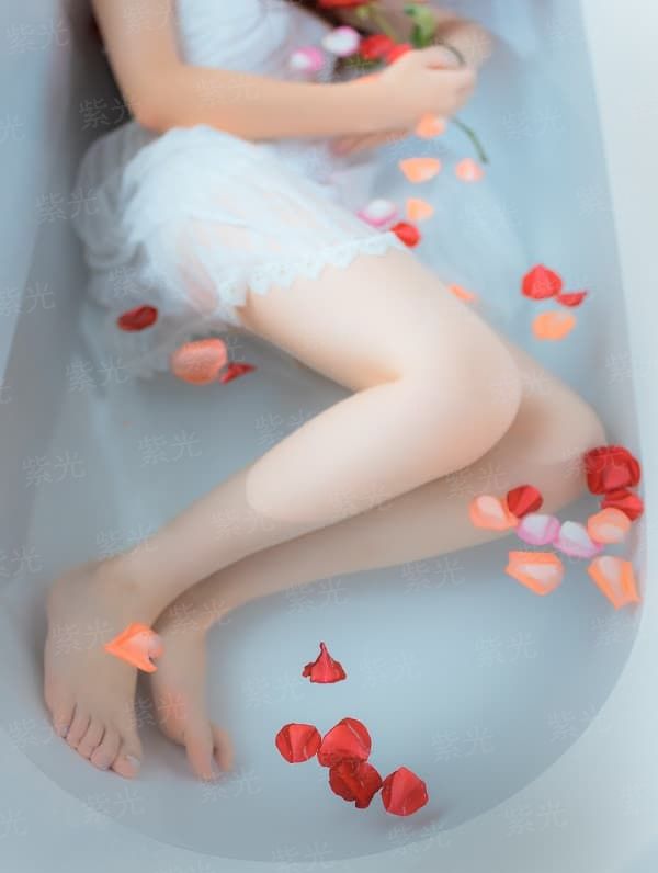 白府四小姐